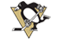 Pittsburg Penguins 703661